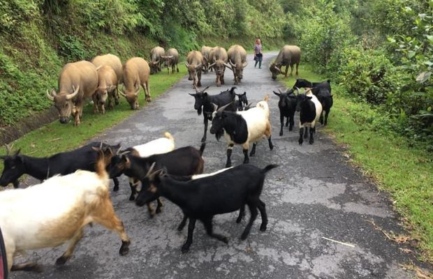 A daily activity of local poeple in Na Hoi